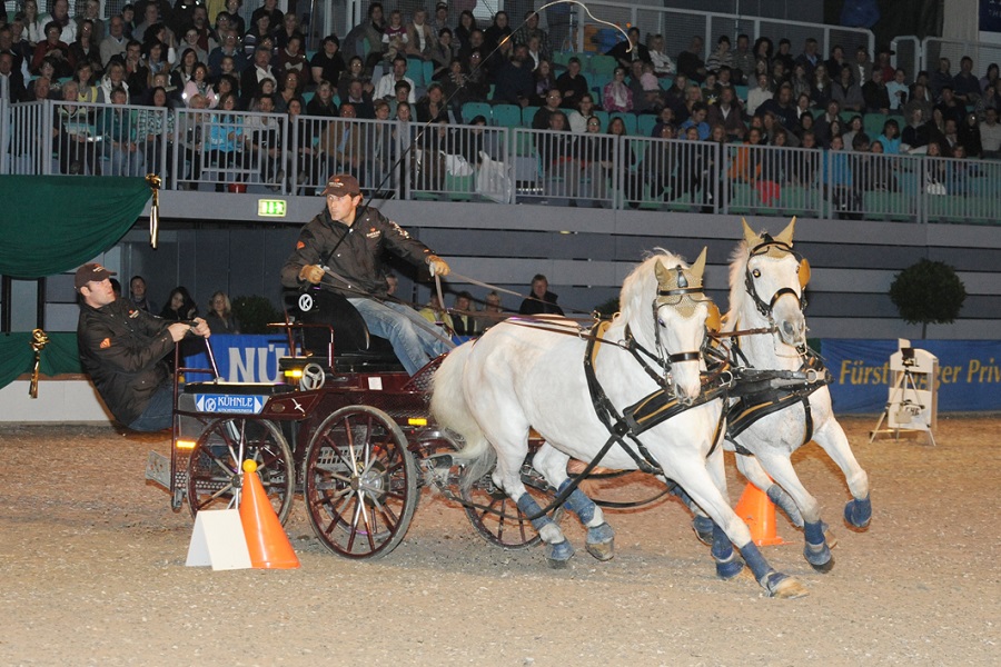 馬展，德國(guó)馬展，馬匹比賽