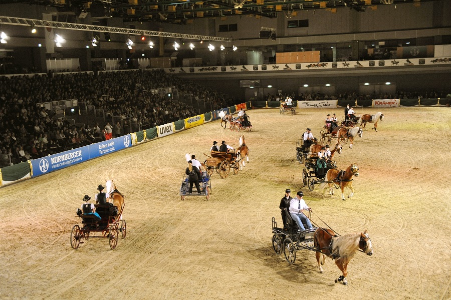 馬展，德國(guó)馬展，馬匹比賽