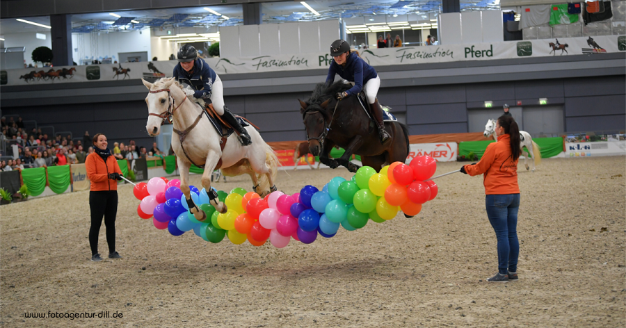 馬展，德國(guó)馬展，馬匹比賽